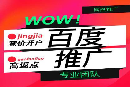 竞价托管实战案例：优化广告投放策略